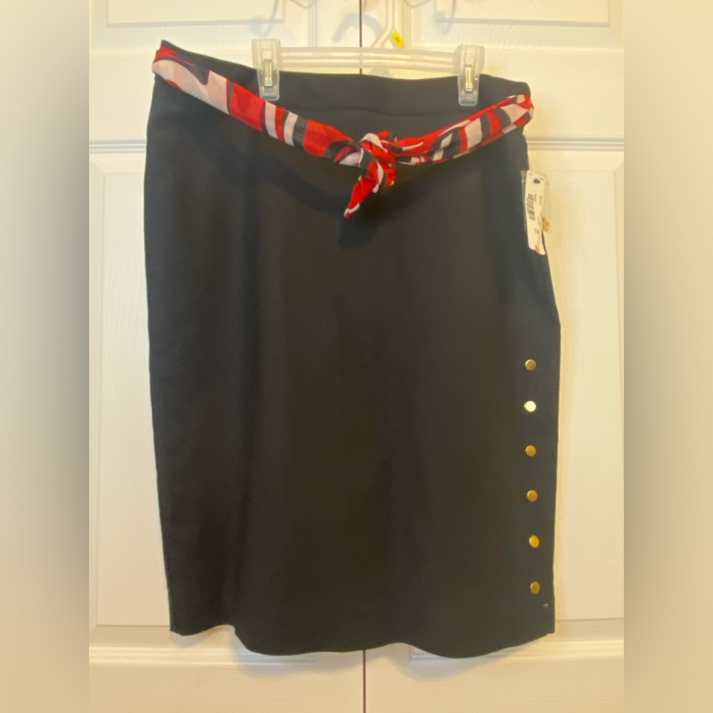 Elegant Skirt NWT